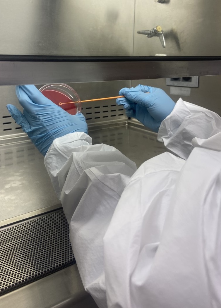 A Lexachrom employee handling microbiology materials.